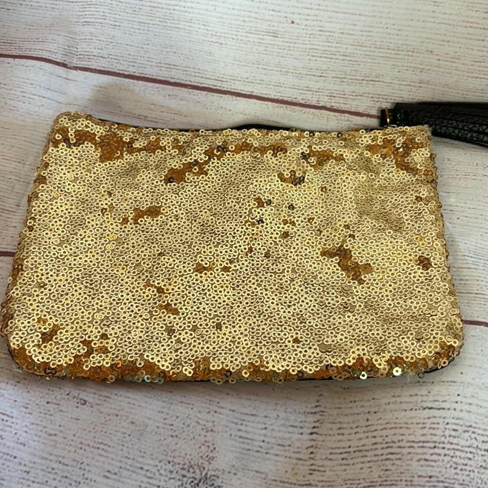 Ipsy Cosmetic bag